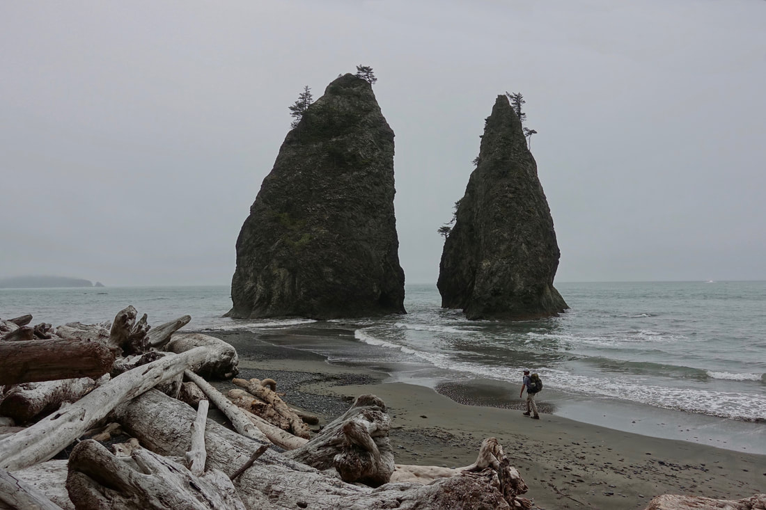 Backpacking along the coastline in Olympic National park