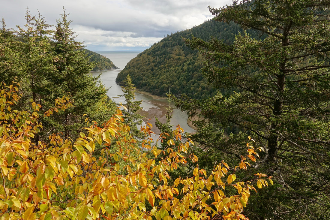 Little Salmon River on the Fundy Footpath hike along the Bay of Fundy in New Brunswick